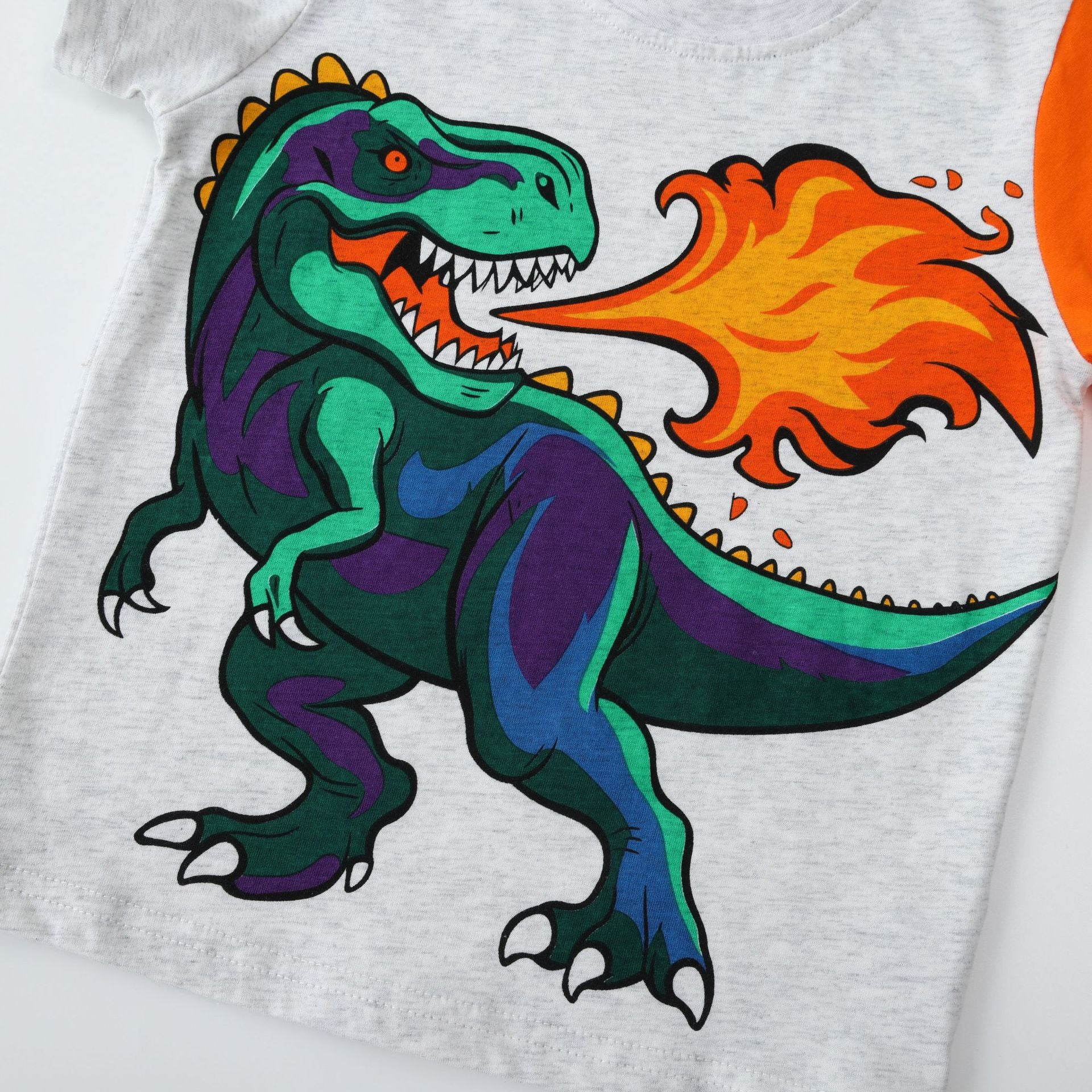 T-shirt Dinosaure Enfant – Manches Courtes Col Rond en Coton